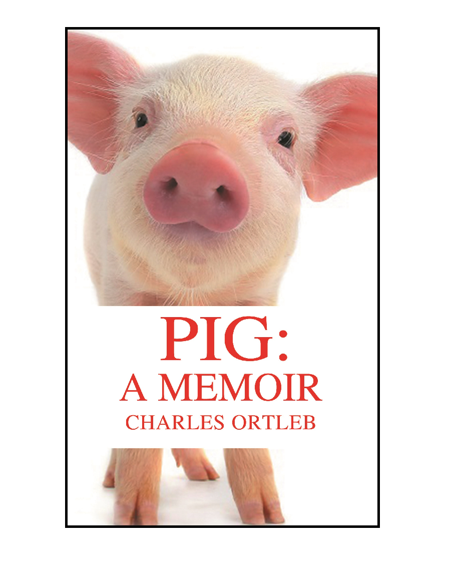 Pig_smaller_cover.png